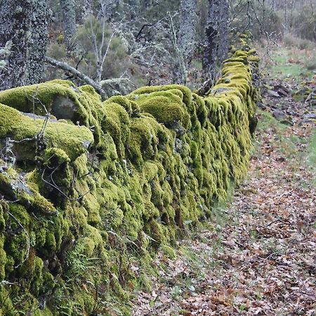 Apartamentos Sierra De Francia Monsagro Kültér fotó